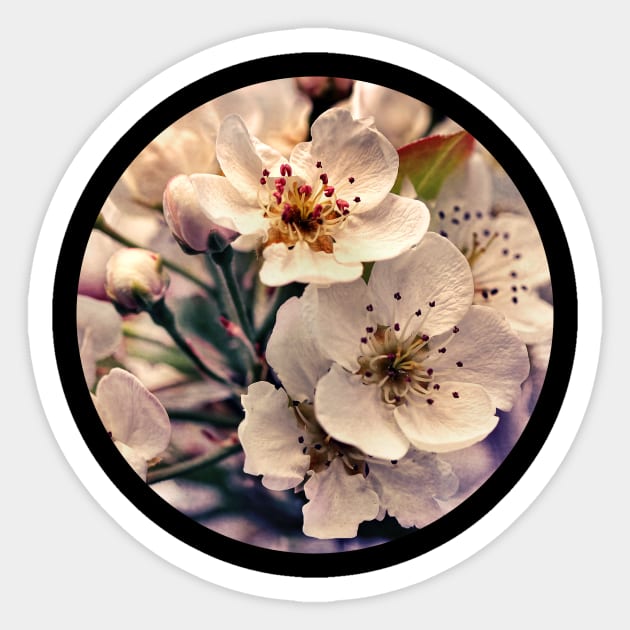 Blossoms at Dusk Sticker by micklyn